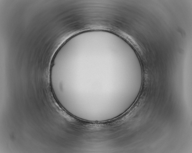 X0000112171236200908281333