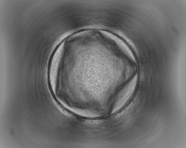 X0000112171237200908281333