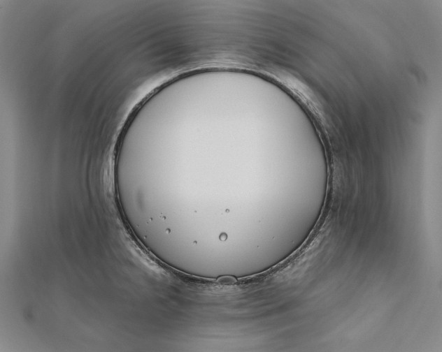 X0000112171238200908281333