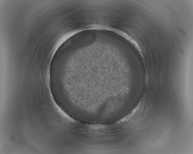 X0000112171239200908281333