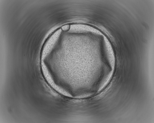 X0000112171240200908281333