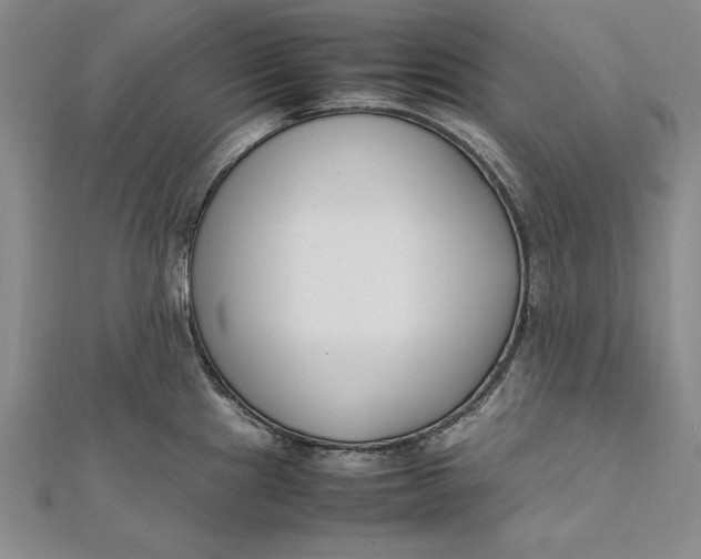 X0000112171241200908281333