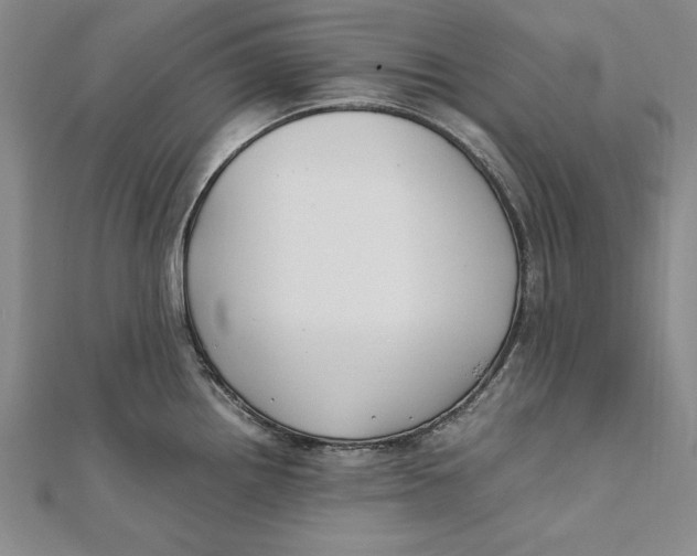 X0000112171242200908281333