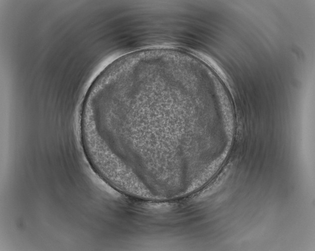 X0000112171243200908281333