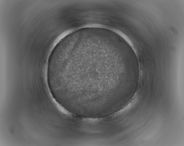 X0000112171245200908281333