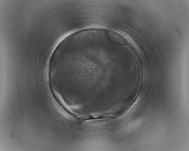 X0000112171246200908281333