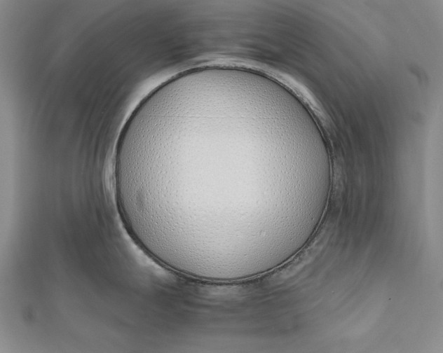 X0000112171247200908281333