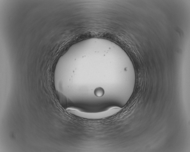 X0000112171249200908281332