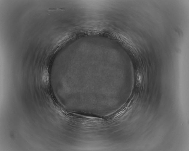 X0000112171252200908281332