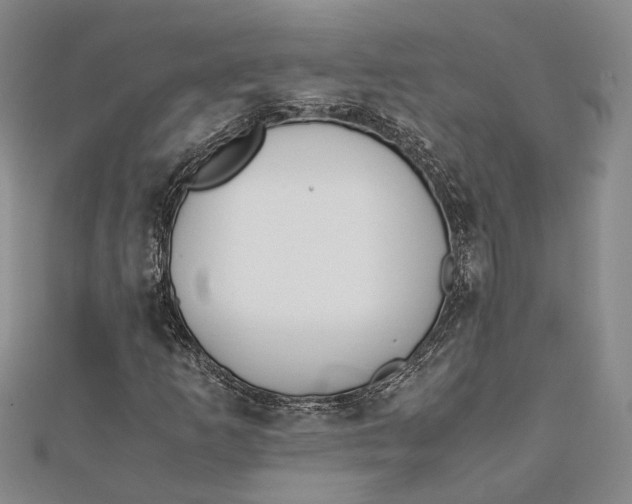 X0000112171253200908281332