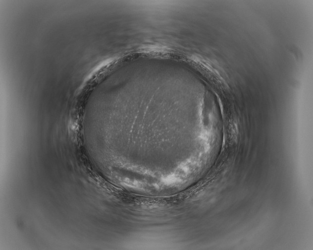 X0000112171254200908281332