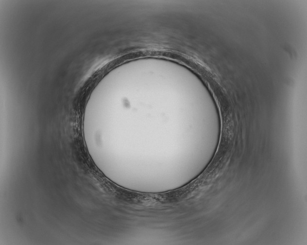 X0000112171255200908281332