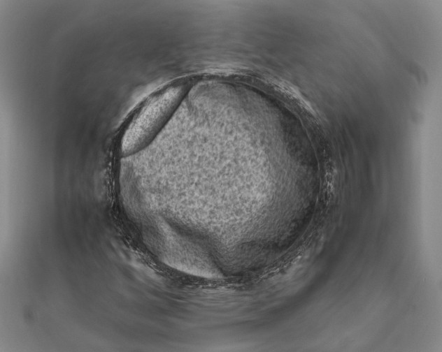 X0000112171256200908281332