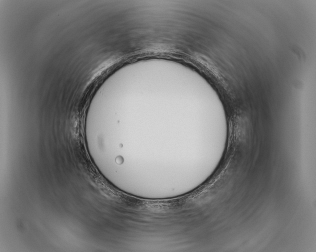 X0000112171258200908281332