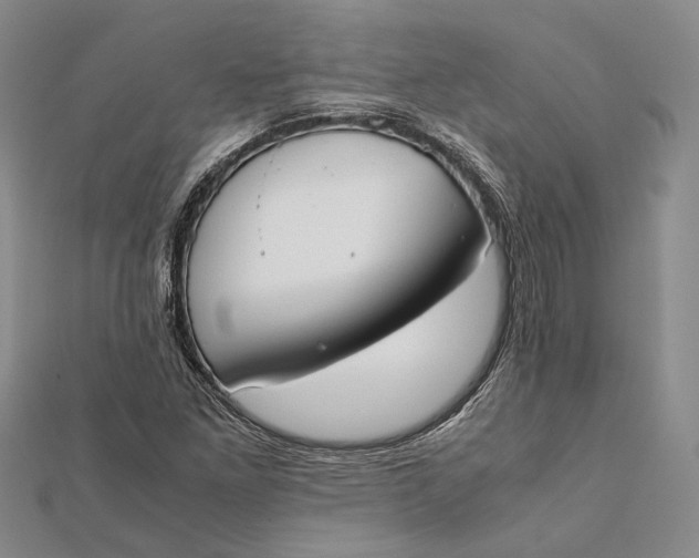 X0000112171261200908281332