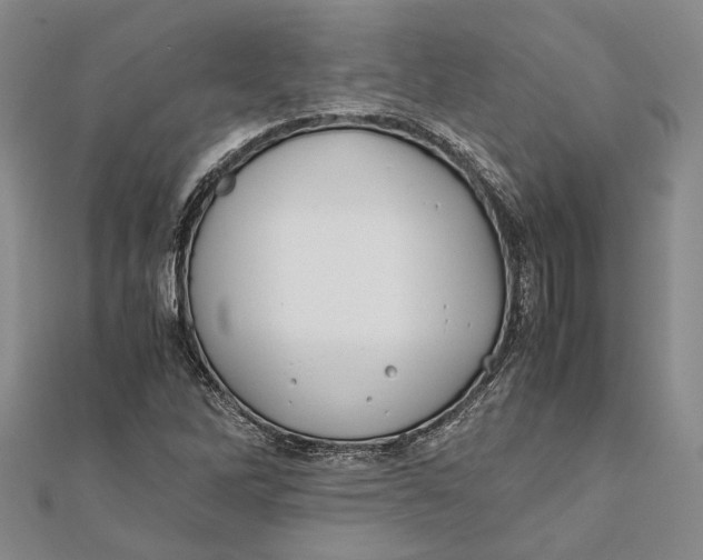 X0000112171262200908281332