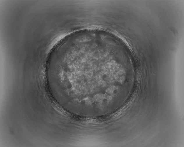 X0000112171263200908281332