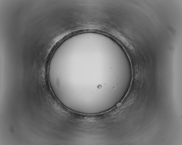 X0000112171264200908281332