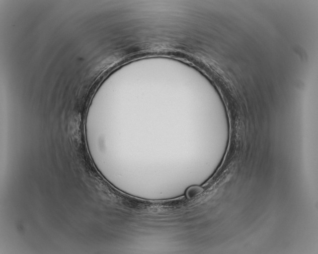 X0000112171265200908281332