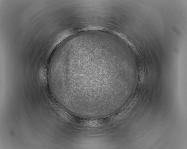 X0000112171266200908281332