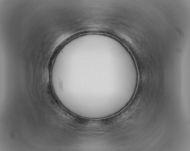 X0000112171267200908281332