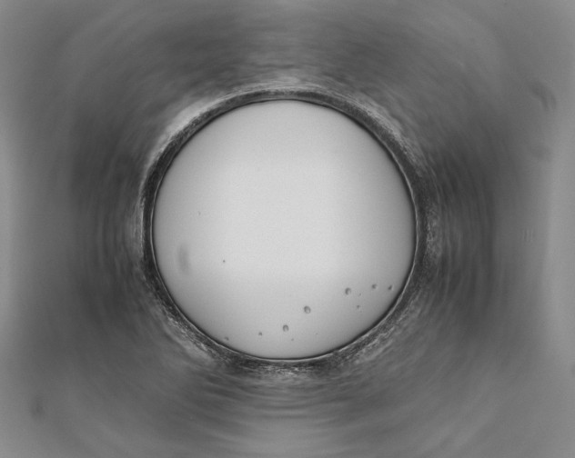 X0000112171270200908281332