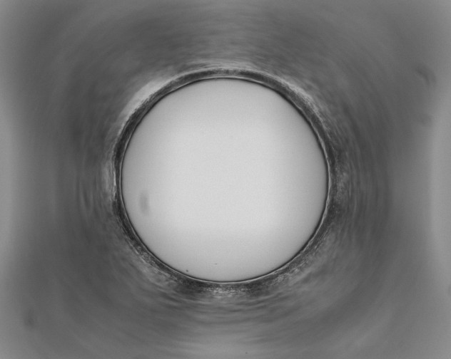 X0000112171271200908281332