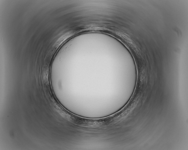 X0000112171273200908281332