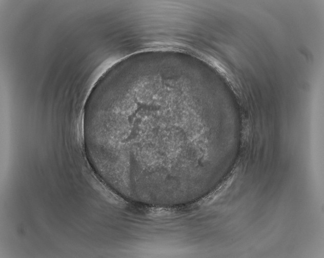 X0000112171275200908281332