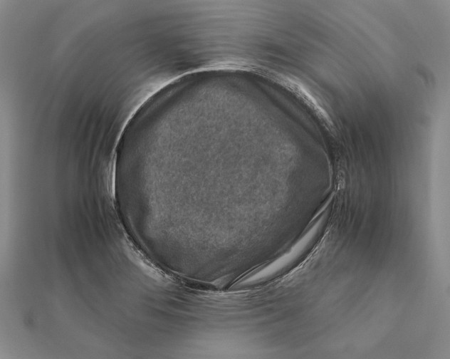 X0000112171276200908281332