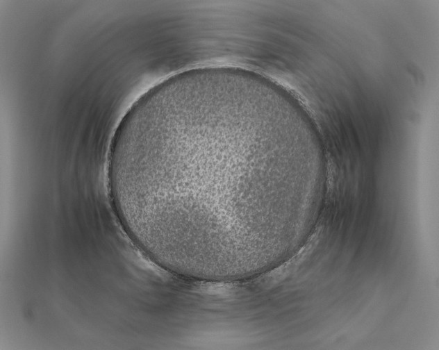 X0000112171278200908281332