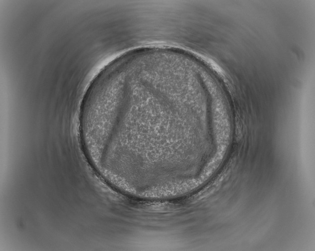 X0000112171279200908281332