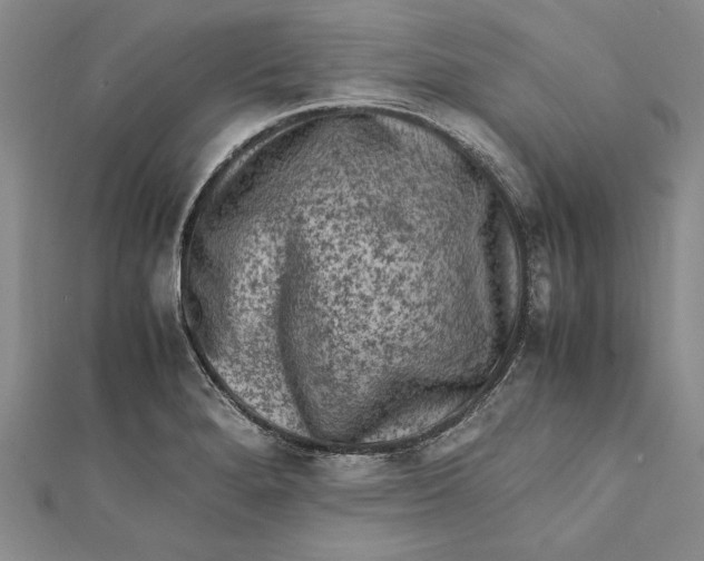 X0000112171280200908281332