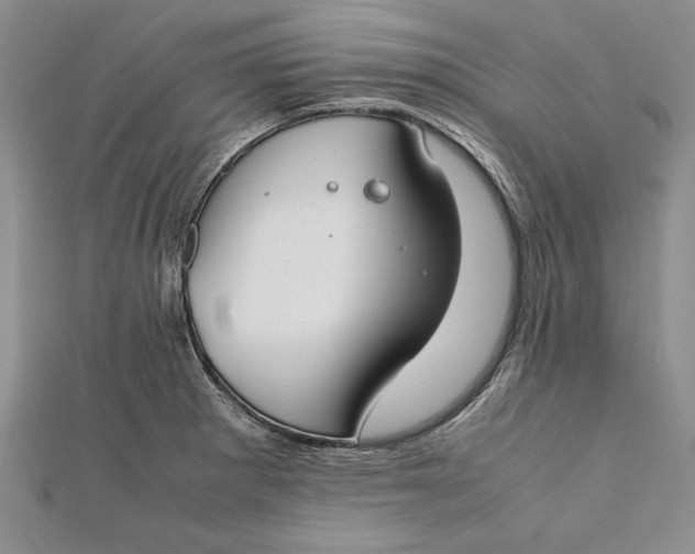 X0000112171281200908281332