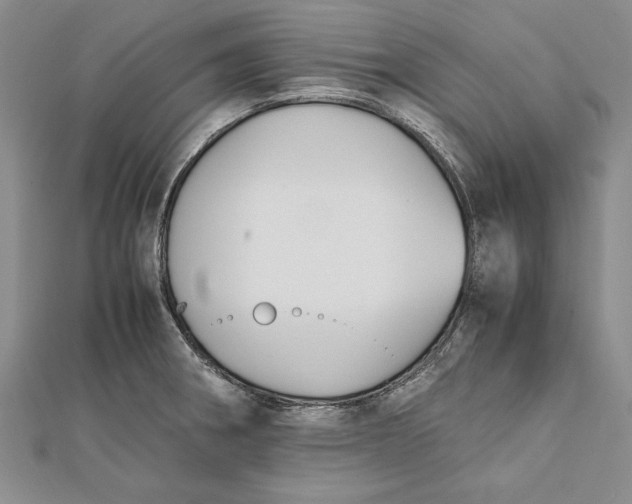 X0000112171282200908281332