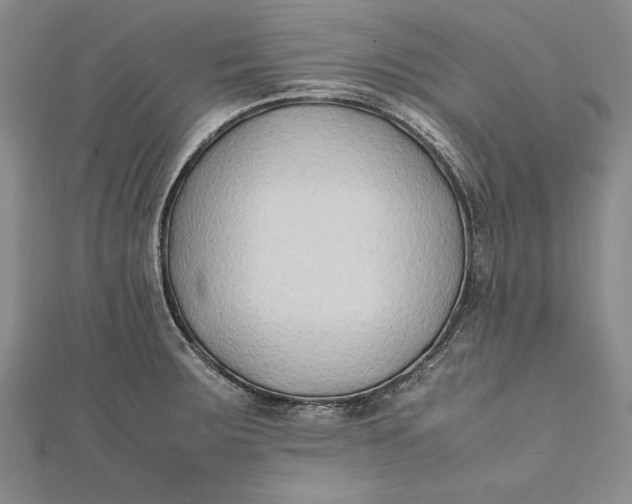 X0000112171283200908281332