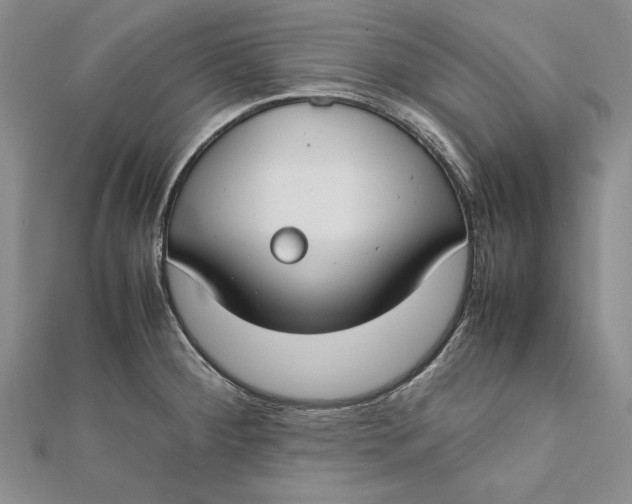 X0000112171284200908281332