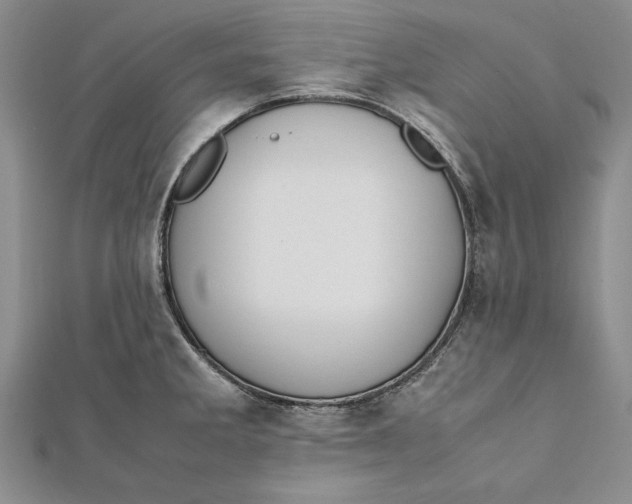 X0000112171285200908281332