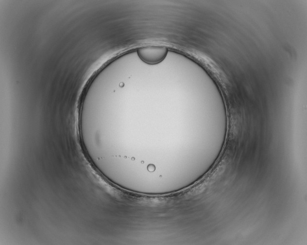 X0000112171286200908281332