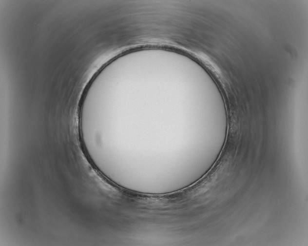 X0000112171287200908281332