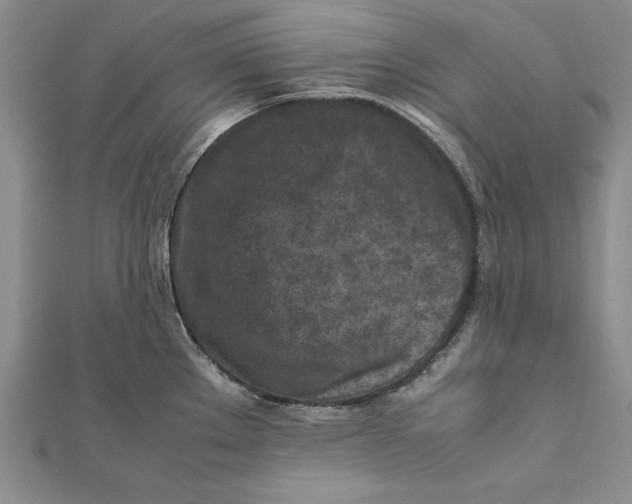 X0000112171289200908281332