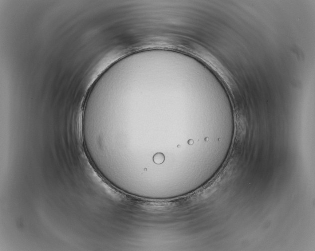 X0000112171290200908281332