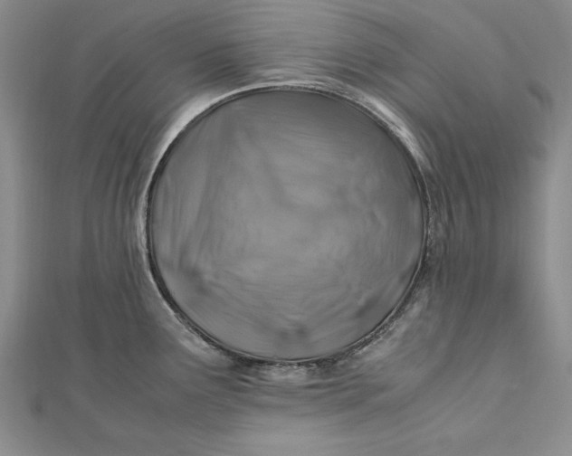 X0000112171291200908281332