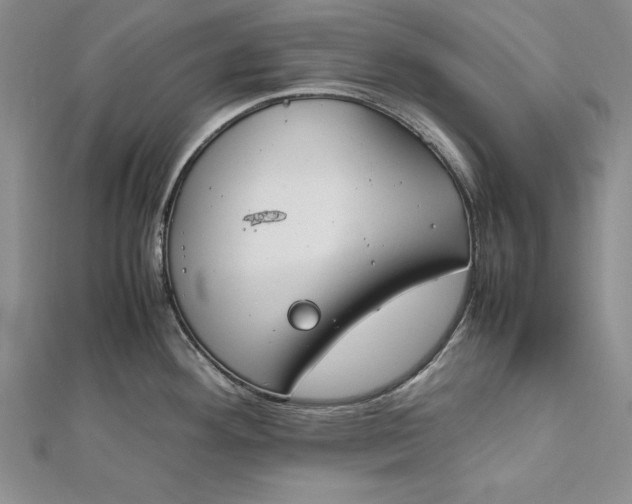 X0000112171292200908281332