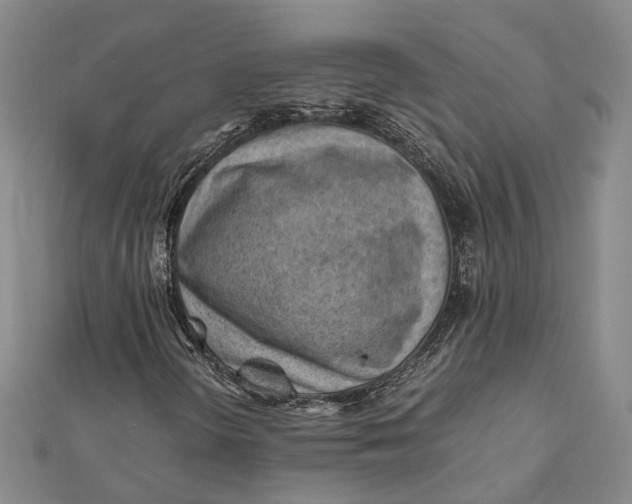 X0000112171298200908281331