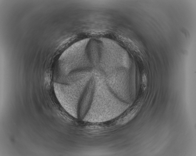 X0000112171300200908281331