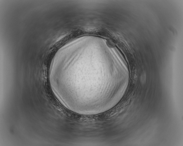 X0000112171301200908281331