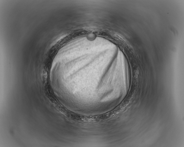 X0000112171302200908281331