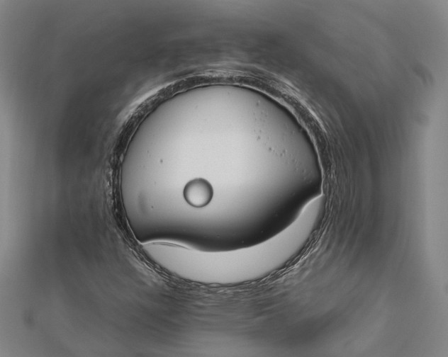 X0000112171304200908281331