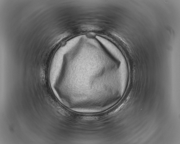 X0000112171305200908281331